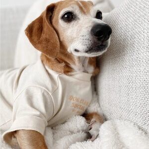Nee Cream Dog Shirt, XS
